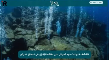 اكتشف كائنات حية تعيش على طاقة الزلازل في أعماق الأرض
